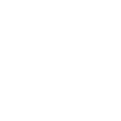 Logo Decalp